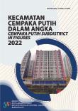 Cempaka Putih Subdistrict In Figures 2022